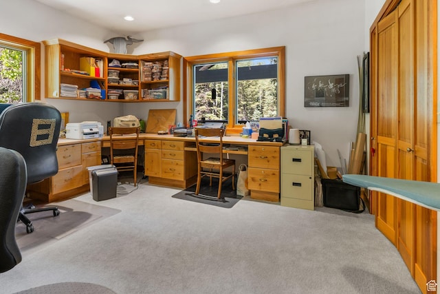 9443 E Wild Clematis Ln Unit 1, Brighton, UT 84121 - office with light carpet and recessed lighting