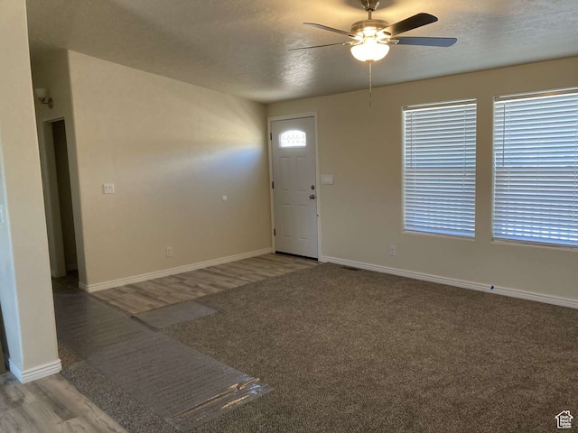 255 S 800 W, Escalante, UT 84726 - carpeted foyer with ceiling fan