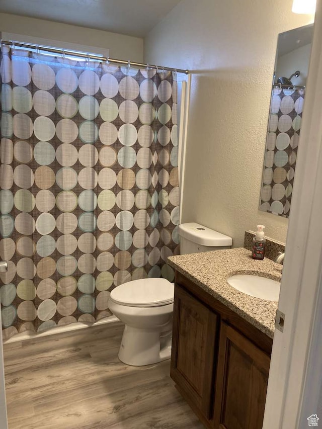255 S 800 W, Escalante, UT 84726 - bathroom with hardwood / wood-style flooring, large vanity, and toilet