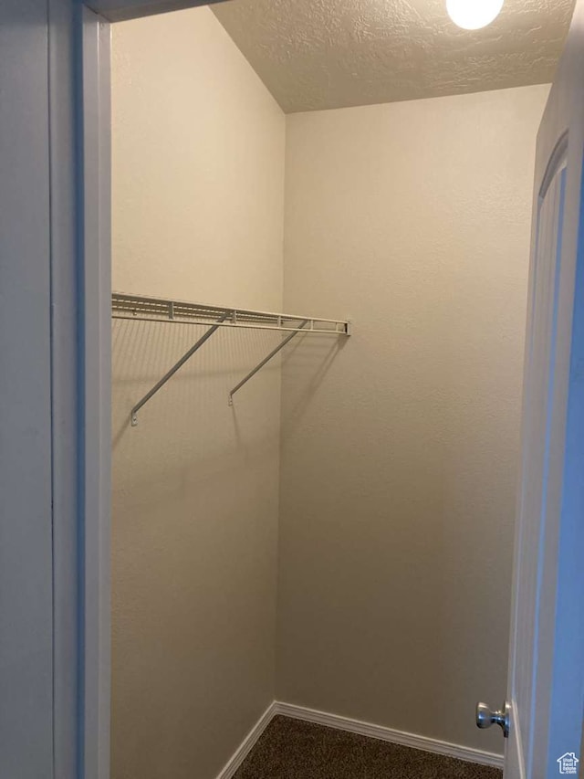 255 S 800 W, Escalante, UT 84726 - spacious closet featuring carpet