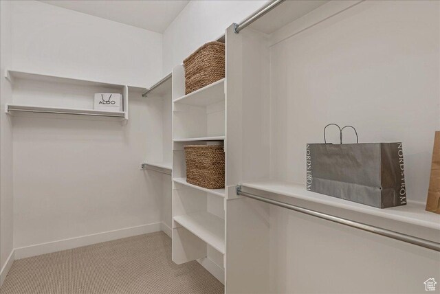 1901 S Sawmill Blvd E Unit 415, Heber City, UT 84032 - walk in closet featuring light colored carpet