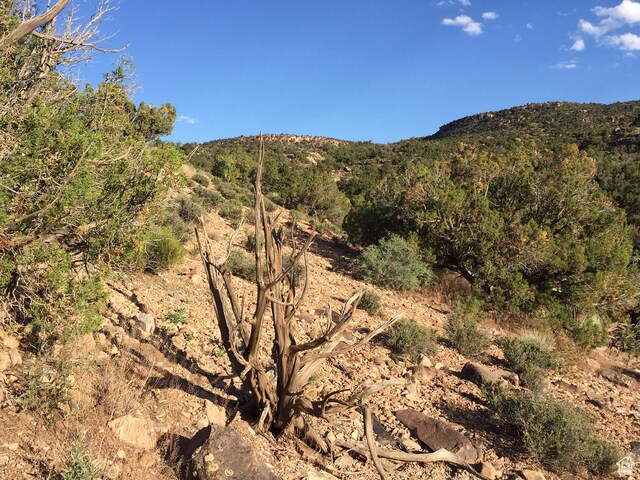 182 E Pole Cyn Unit 5, Moab, UT 84532
