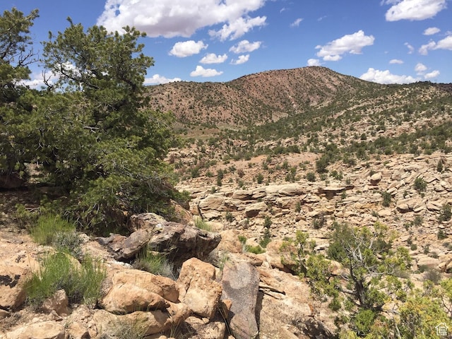 188 Pole Cyn Unit 6, Moab, UT 84532