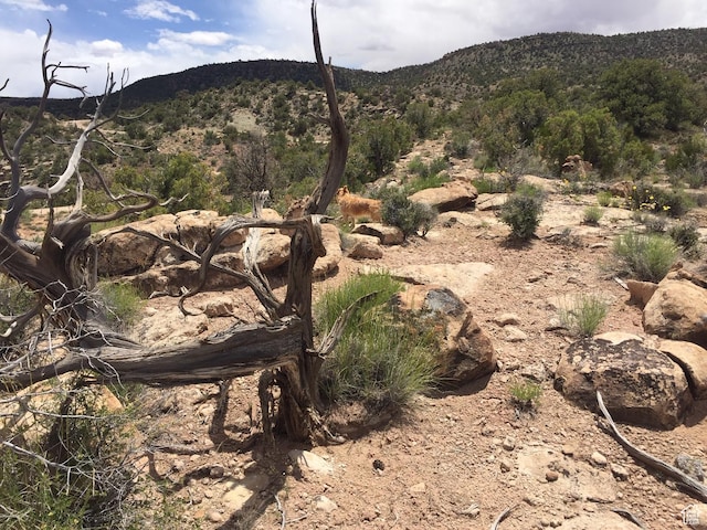 188 Pole Cyn Unit 6, Moab, UT 84532
