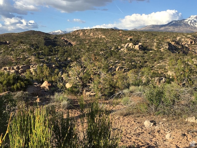 188 Pole Cyn Unit 6, Moab, UT 84532