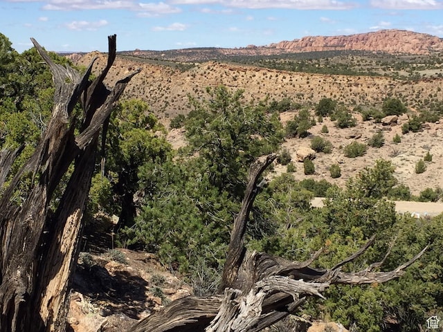 57 W Kane Cyn Unit 17, Moab, UT 84532