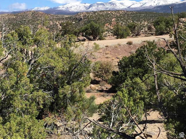 57 W Kane Cyn Unit 17, Moab, UT 84532