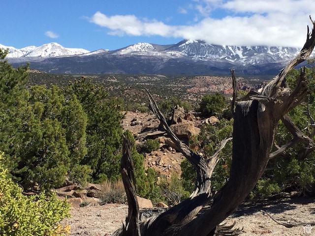 57 W Kane Cyn Unit 17, Moab, UT 84532