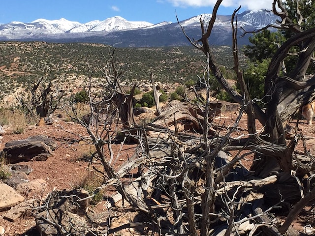 57 W Kane Cyn Unit 17, Moab, UT 84532
