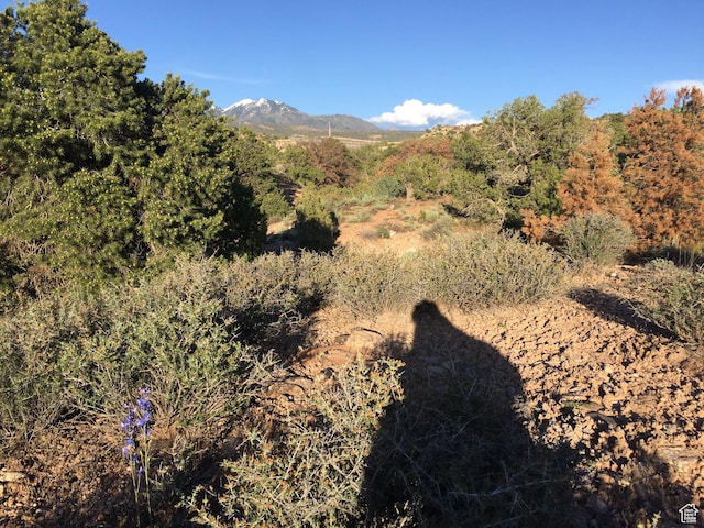 27 W Kane Cyn Unit 20, Moab, UT 84532