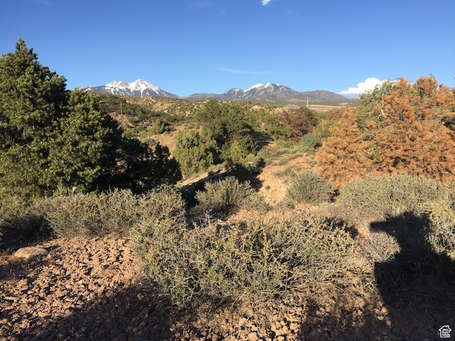 27 W Kane Cyn Unit 20, Moab, UT 84532