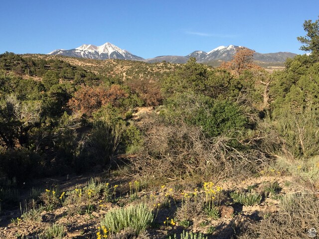 27 W Kane Cyn Unit 20, Moab, UT 84532
