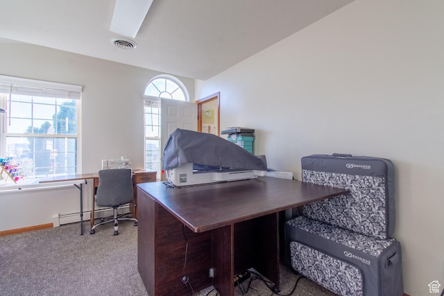 560 N 400 W, Smithfield, UT 84335 - carpeted office featuring baseboard heating, baseboards, visible vents, and a skylight