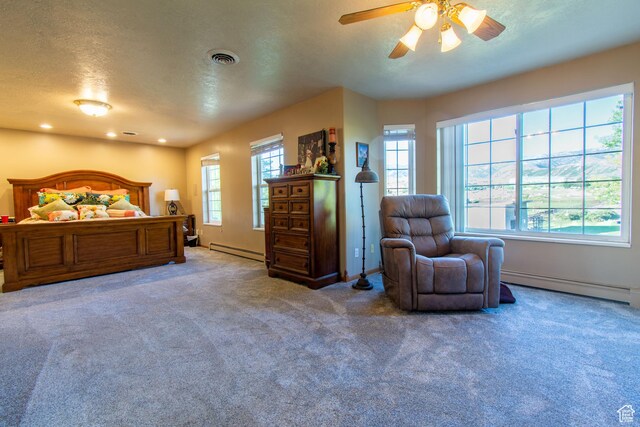 560 N 400 W, Smithfield, UT 84335 - bedroom featuring a baseboard radiator, visible vents, and multiple windows