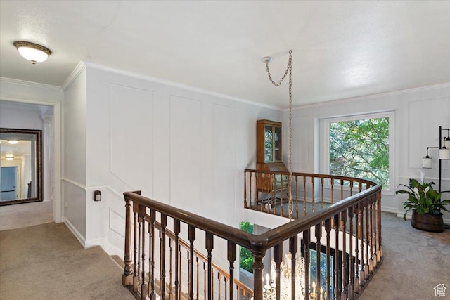 hall featuring carpet floors and crown molding