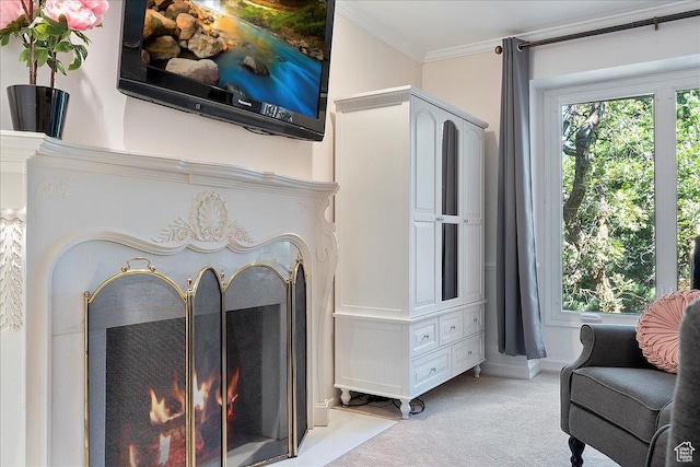 room details featuring carpet flooring and ornamental molding