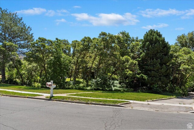 view of front facade with a front yard