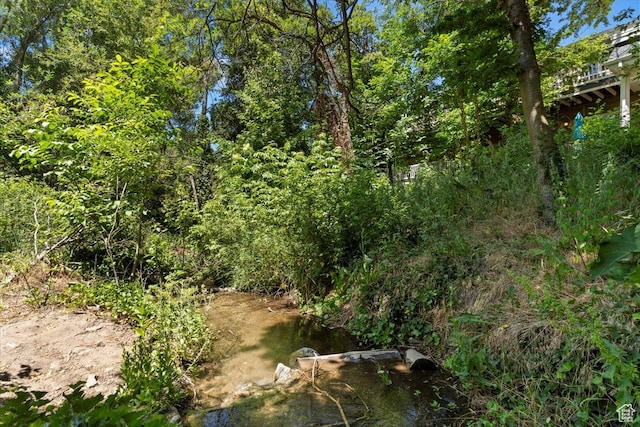 view of local wilderness with a water view