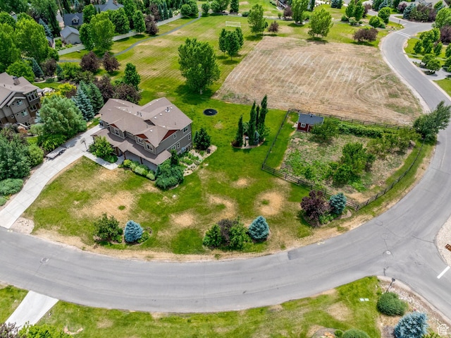 bird's eye view