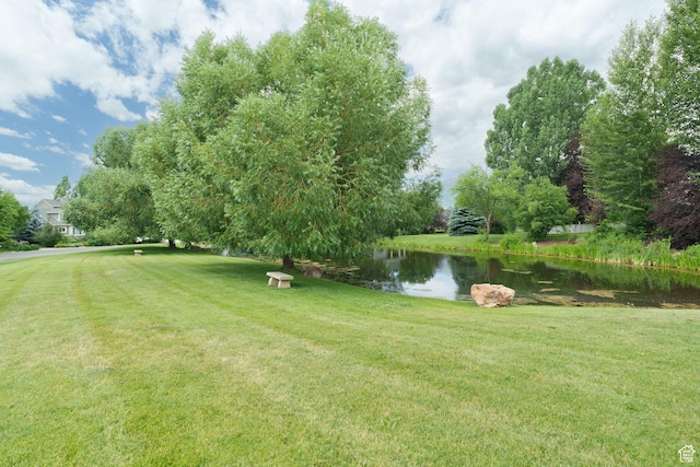 view of yard with a water view