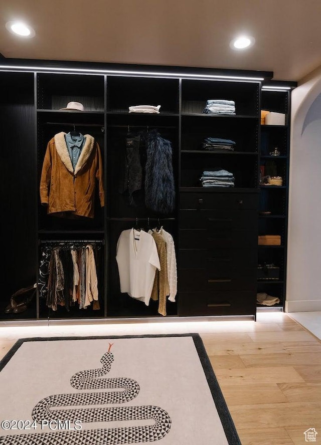 view of closet