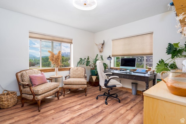 office featuring light wood-type flooring