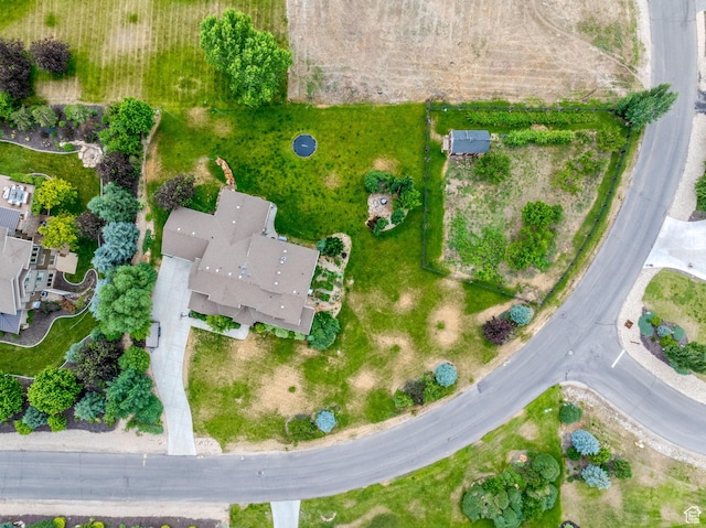 bird's eye view
