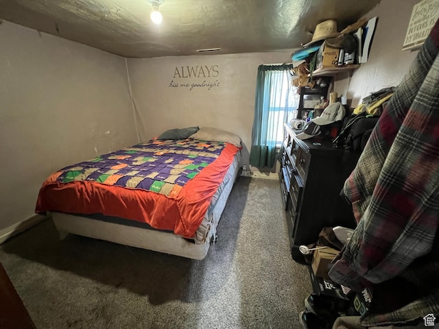 736 E Hatchery Rd, Bicknell, UT 84715 - view of carpeted bedroom