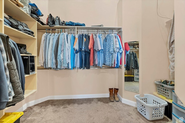 1536 S Cliff Dr, Apple Valley, UT 84737 - walk in closet with carpet flooring