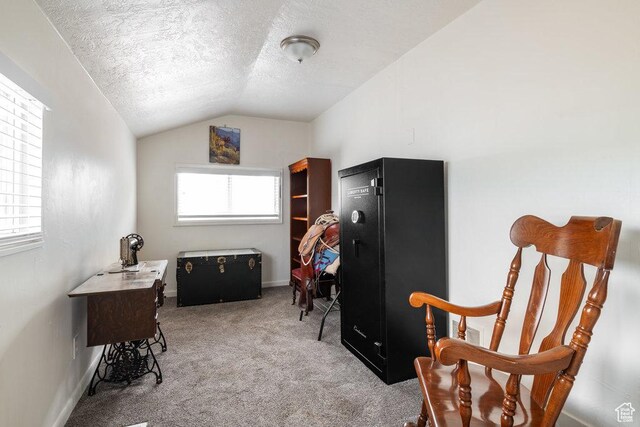 6 Park Ave, Tooele, UT 84074 - carpeted office featuring a textured ceiling, lofted ceiling, and baseboards