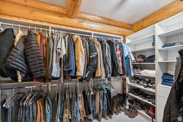 6690 N State Road 32, Peoa, UT 84061 - spacious closet featuring carpet flooring