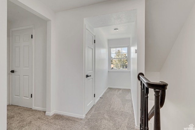 hall featuring light carpet