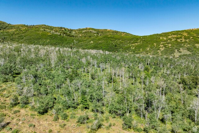 Coalville, UT 84017 - photo 61