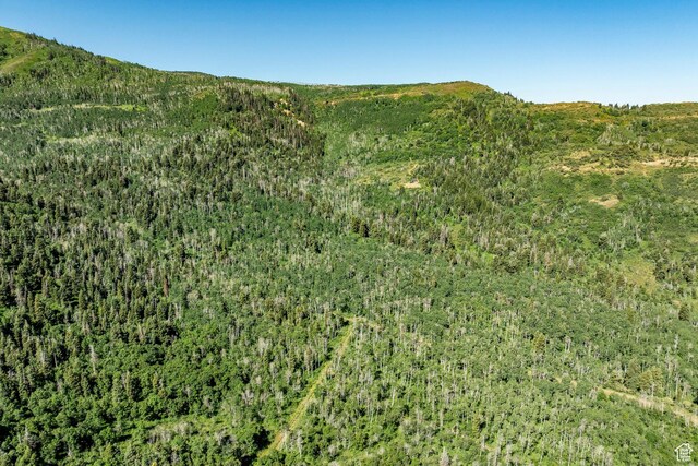 Coalville, UT 84017 - photo 25