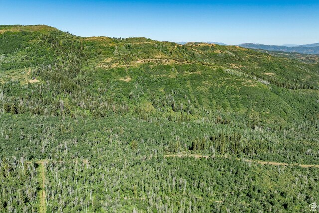 Coalville, UT 84017 - photo 24