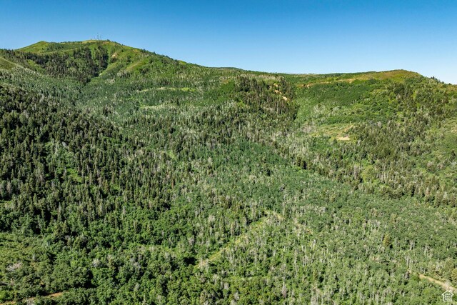 Coalville, UT 84017 - photo 26