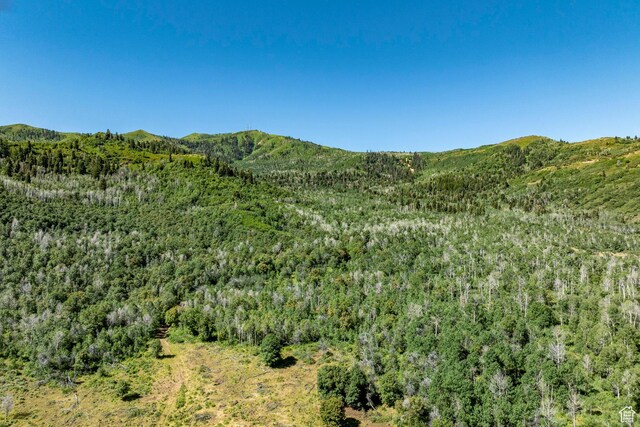 Coalville, UT 84017 - photo 60