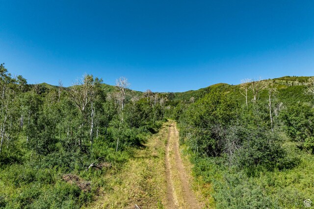 Coalville, UT 84017 - photo 68