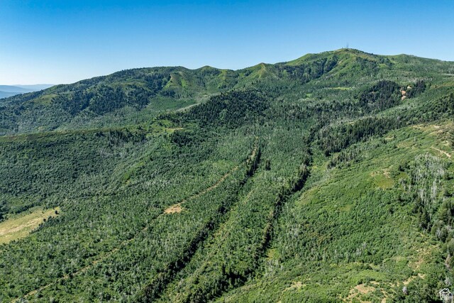 Coalville, UT 84017 - photo 15