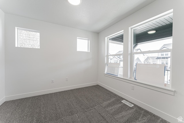 spare room with carpet flooring and a textured ceiling
