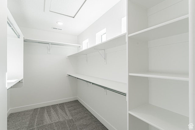walk in closet with dark colored carpet