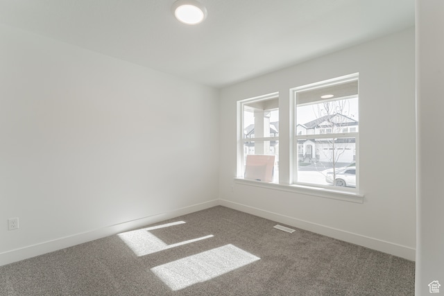 spare room with carpet