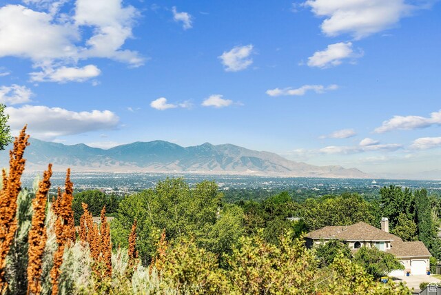 2938 E Hollow Mill Dr, Cottonwood Heights, UT 84121