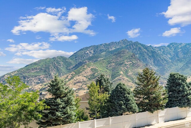 2938 E Hollow Mill Dr, Cottonwood Heights, UT 84121