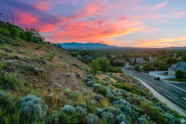 2938 E Hollow Mill Dr, Cottonwood Heights, UT 84121