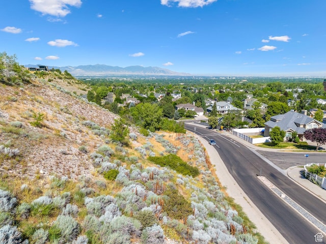 2938 E Hollow Mill Dr, Cottonwood Heights, UT 84121