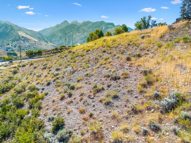 2938 E Hollow Mill Dr, Cottonwood Heights, UT 84121