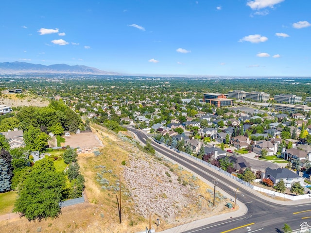 2938 E Hollow Mill Dr, Cottonwood Heights, UT 84121
