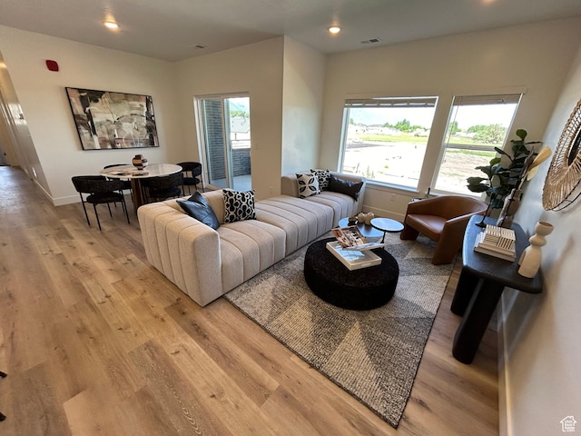 living room featuring a wealth of natural light and light hardwood / wood-style floors