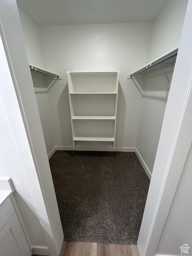 spacious closet with wood-type flooring
